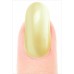 Misa Nail Polish/Golden Tan (10138) by www.nailsandbeautysupply.com