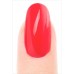 Misa nail polish/Party in the Masquerade (10222) by www.nailsandbeautysupply.com