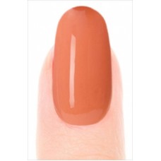 Misa nail polish/Shake it to the Samba