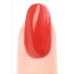 Misa Nail Polish/Bop til you Drop (10264) by www.nailsandbeautysupply.com