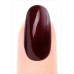 Misa Nail Polish/Chocolate Icing (IC05) by www.nailsandbeautysupply.com