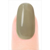 Misa Nail Polish/Got it Made in the Shade