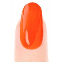 024: Misa Gel Lacquer/Orangestravanganza