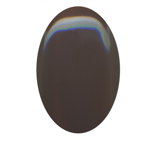 XO Gellac Gel/Mochalism (G019) by www.nailsandbeautysupply.com